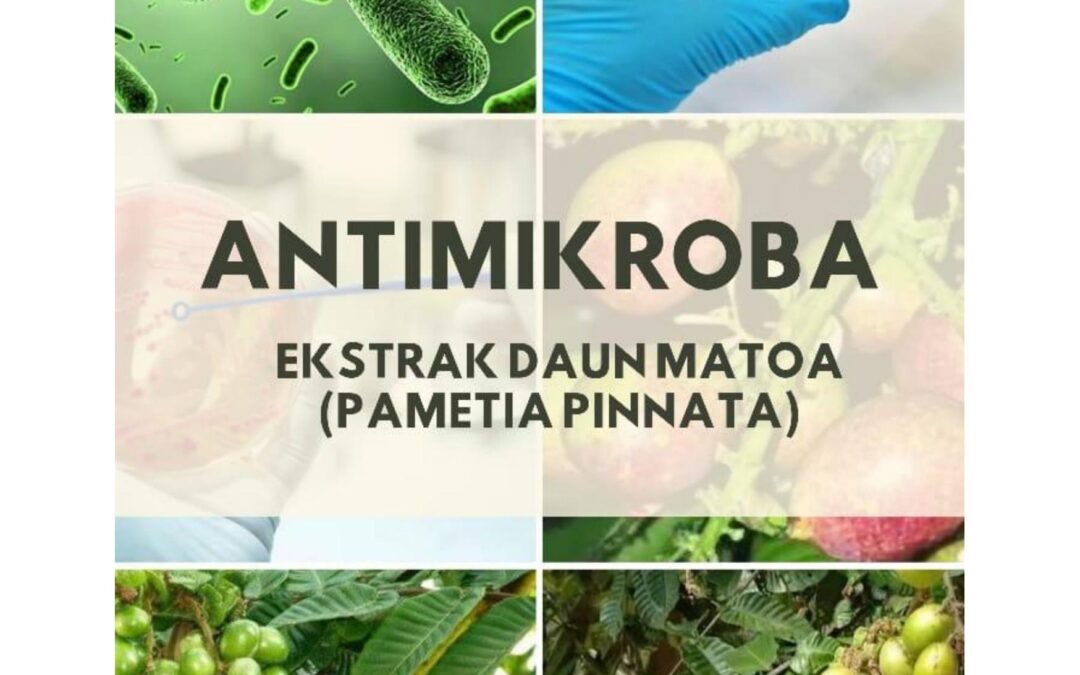 Antimikroba: Ekstrak Daun Matoa (Pametia pinnata)